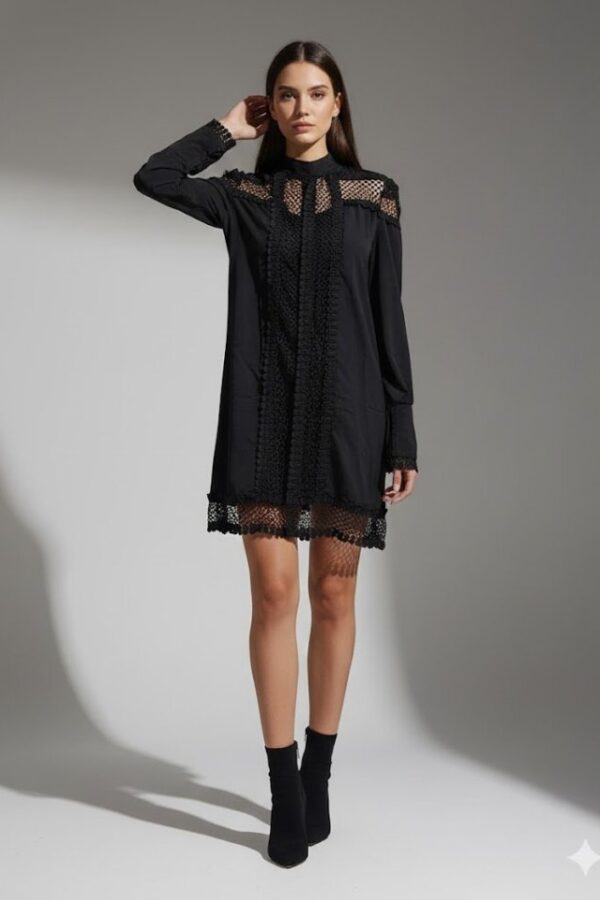 Kadın Uzun Kollu Yarım Balıkçı Yaka Transparan Detaylı Mini Elbise