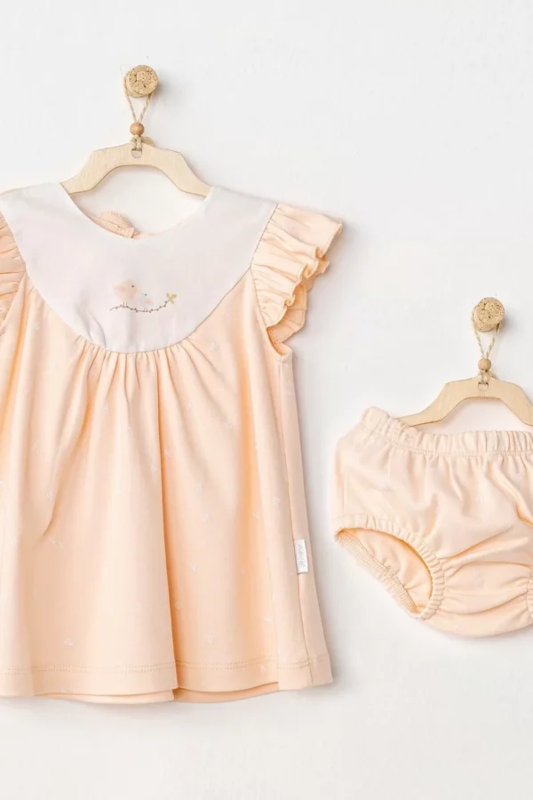 Spring Birds Bebek Elbise Takım Salmon