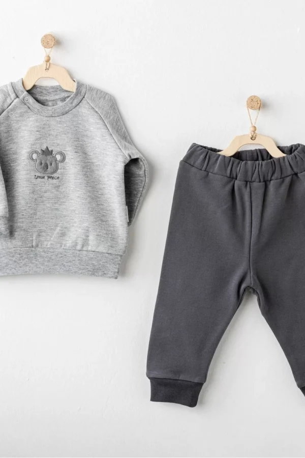 Basic 2'li Bebe Takım Grey