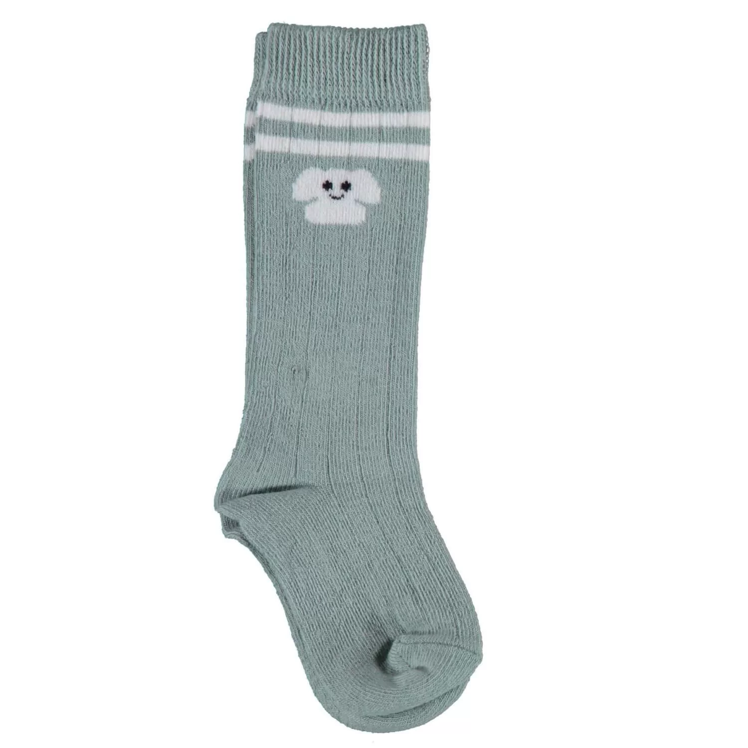 Animals Dizaltı Yaş Çorap Mint - Görsel 2