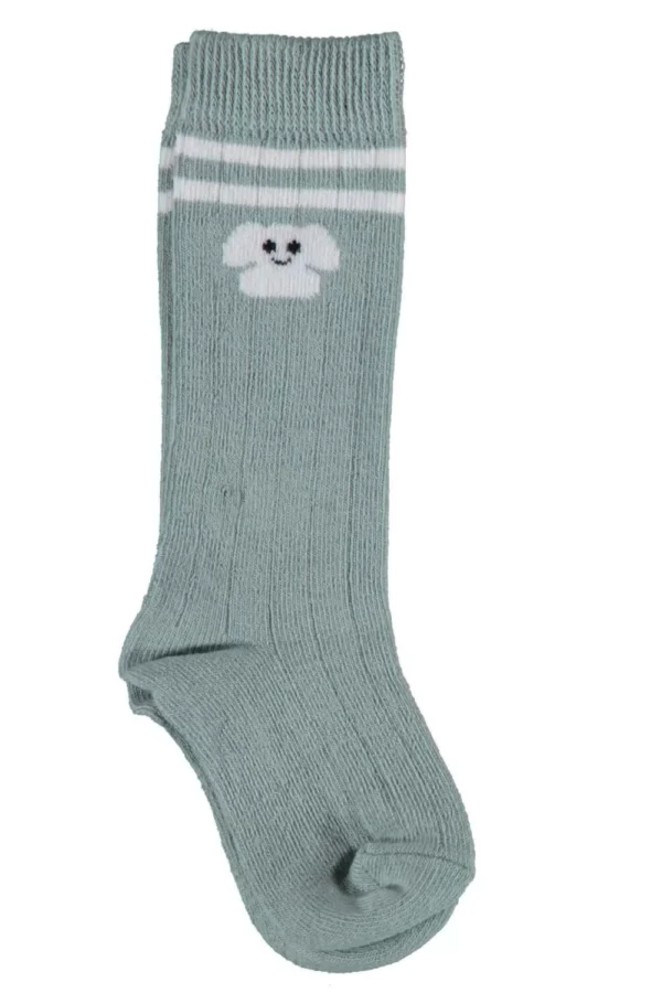 Animals Dizaltı Yaş Çorap  Mint