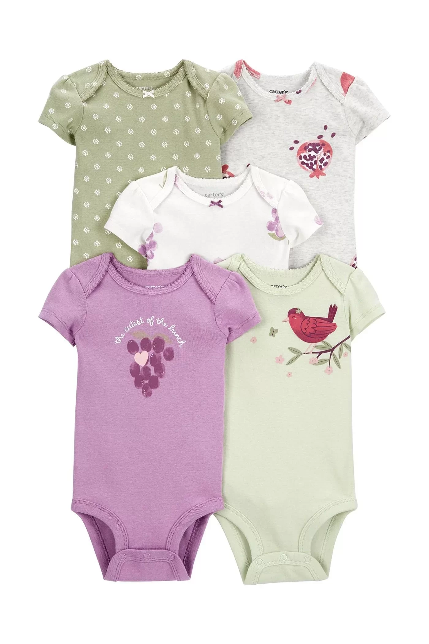 Layette Kız Bebek 5'li Kısa Kol Body Karışık Renkli - Görsel 4