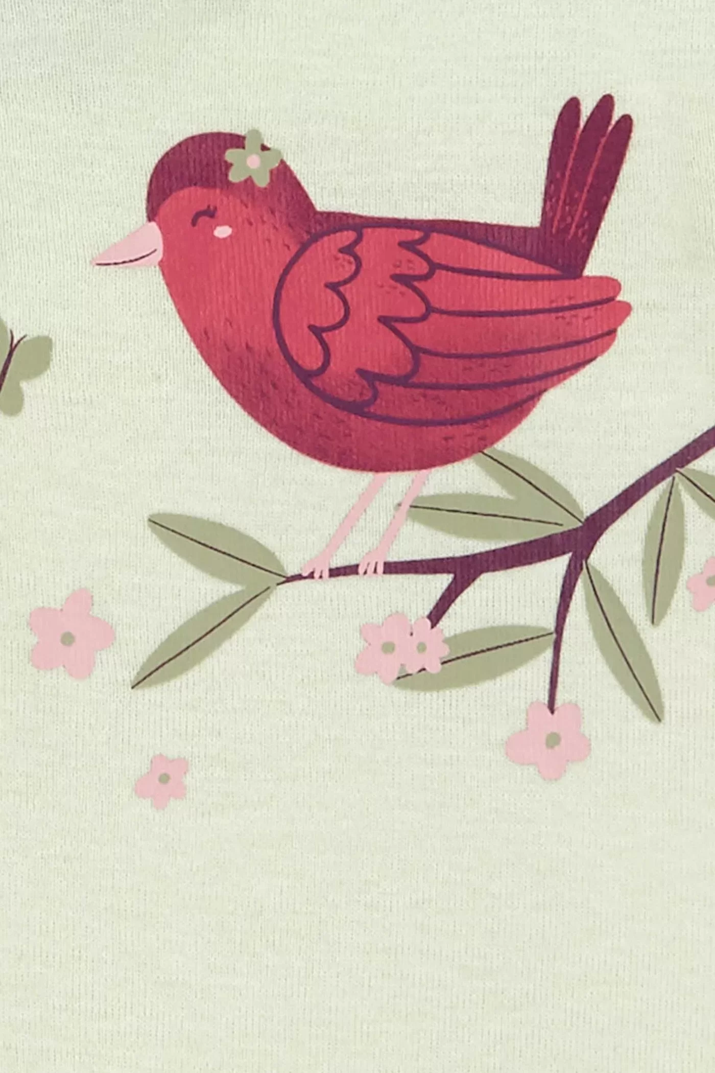 Layette Kız Bebek 5'li Kısa Kol Body Karışık Renkli - Görsel 5