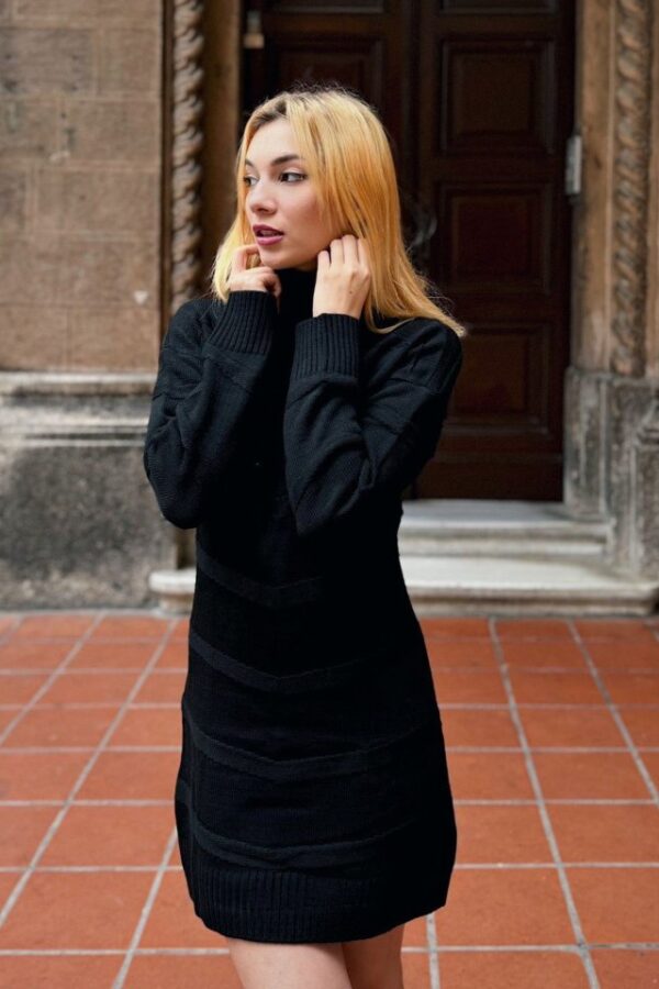 Kadın Uzun Kollu Balıkçı Yaka Triko Mini Boy Elbise