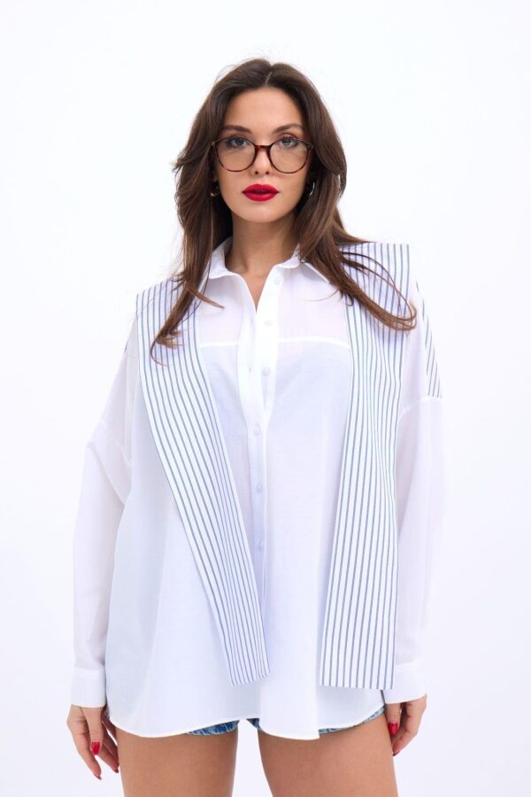 6749 GÖMLEK-DALLAS ÇİZGİLİ