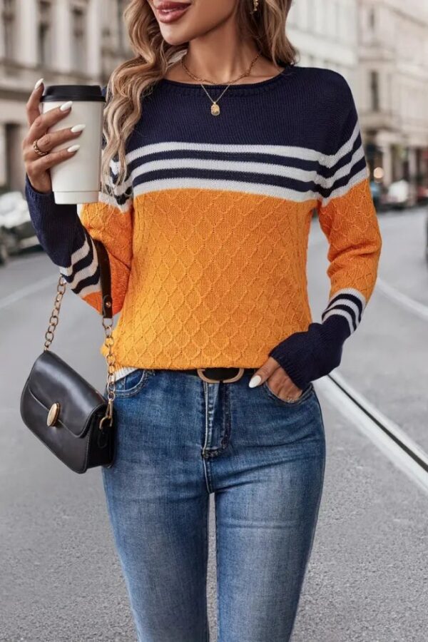 Kadın Uzun Kollu Bisiklet Yaka çok Renkli Triko Bluz