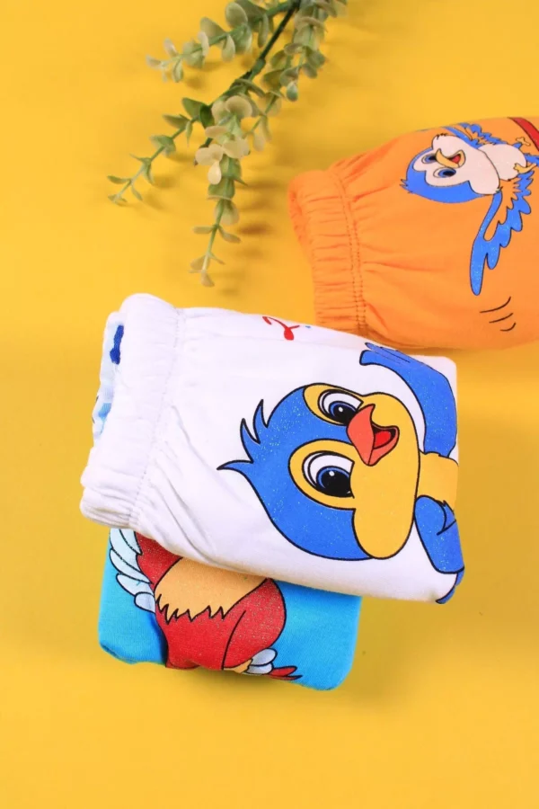 Kuş Figürlü 3'lü Sıvı Geçirmez Erkek Çocuk Alıştırma Külodu